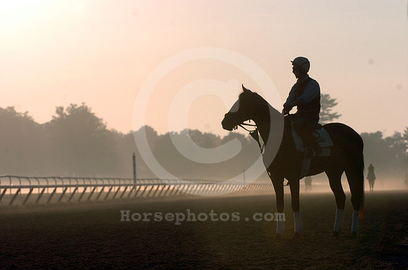 saratoga morning