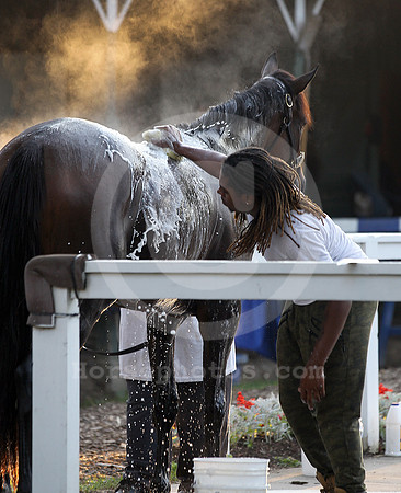saratoga morning