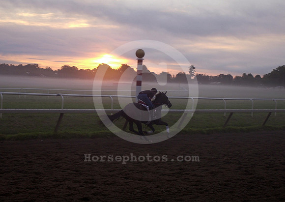 saratoga morning