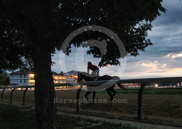 saratoga_morning290