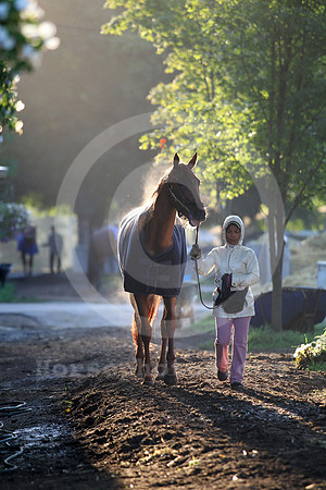 saratoga morning