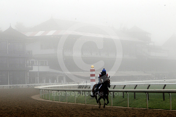 saratoga_morning267