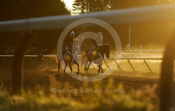 saratoga morning