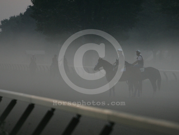 saratoga morning