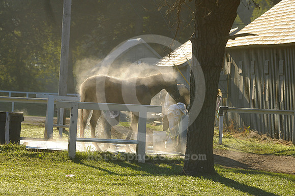 saratoga morning