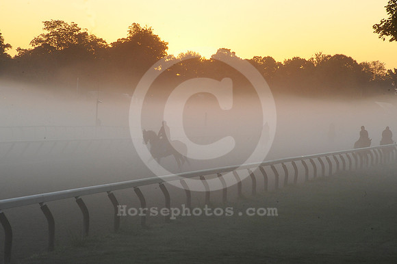saratoga morning