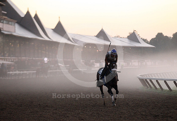 saratoga morning