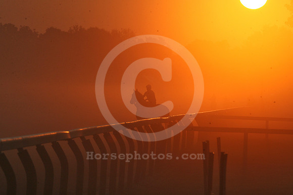 saratoga morning