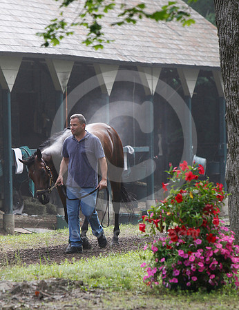 saratoga_morning275