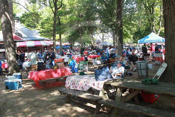 saratoga_backyard01_st