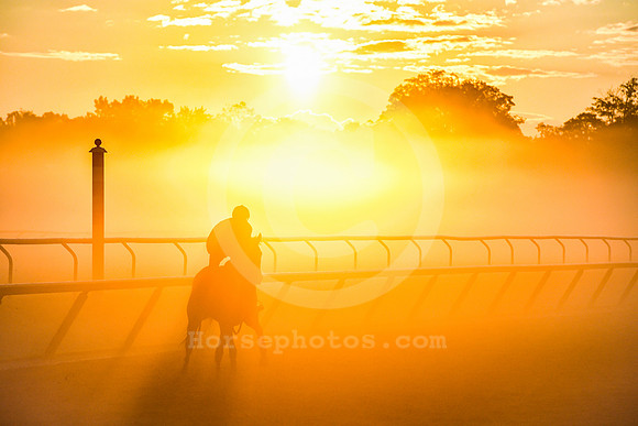 saratoga morning