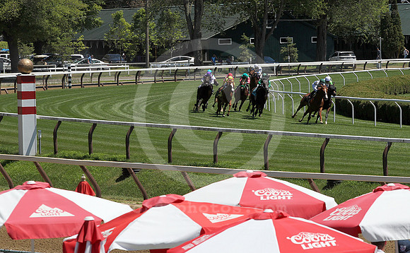 saratoga racing action