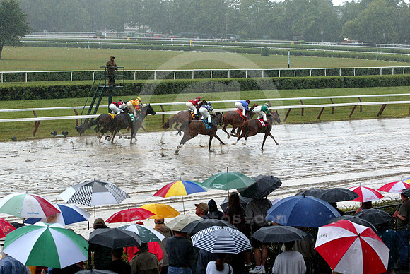 saratoga racing action
