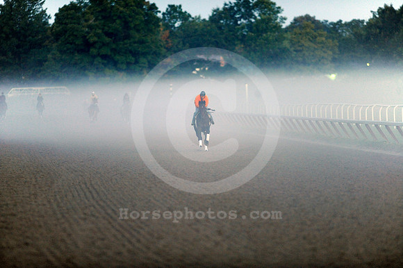 saratoga morning