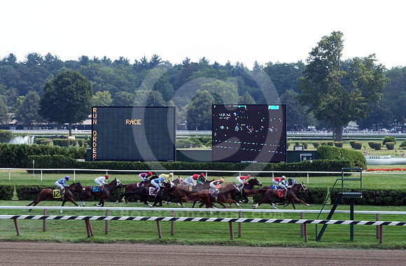 saratoga racing action