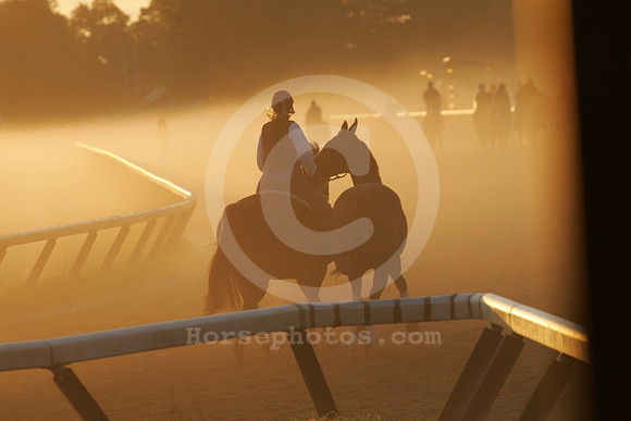 saratoga morning