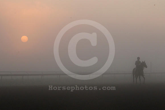 saratoga_morning262