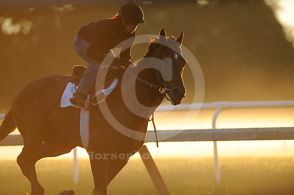 saratoga morning