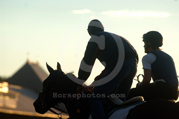 saratoga morning