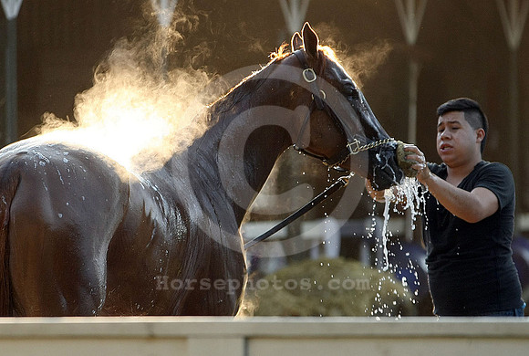 saratoga morning