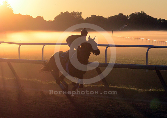 saratoga morning