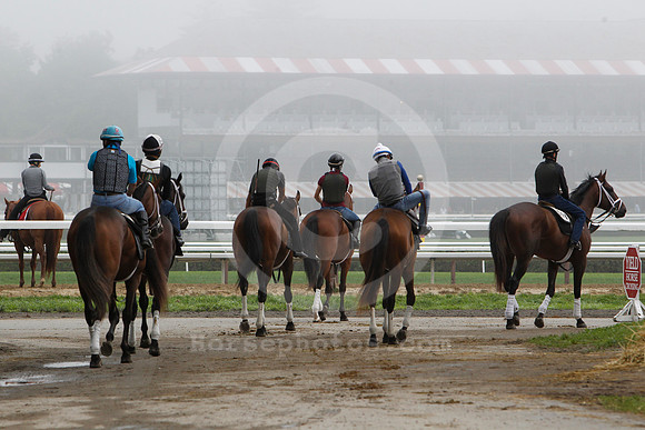 saratoga_morning287