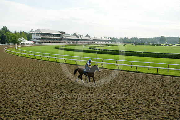 saratoga morning