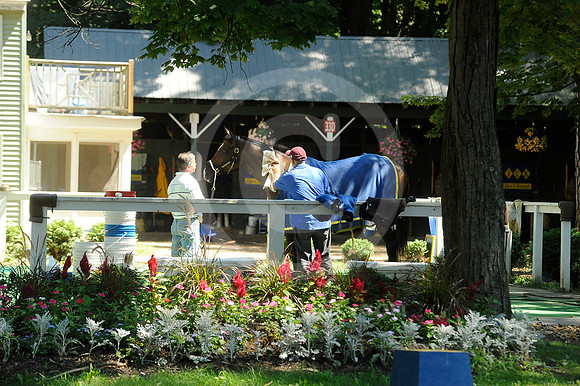 saratoga morning
