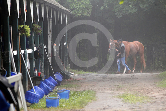 saratoga_morning285
