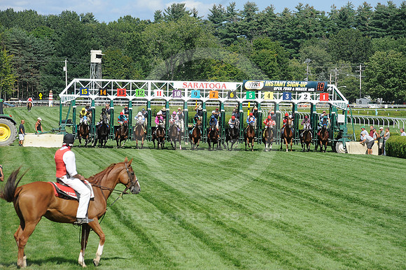 saratoga racing action