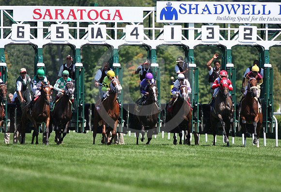 saratoga racing action