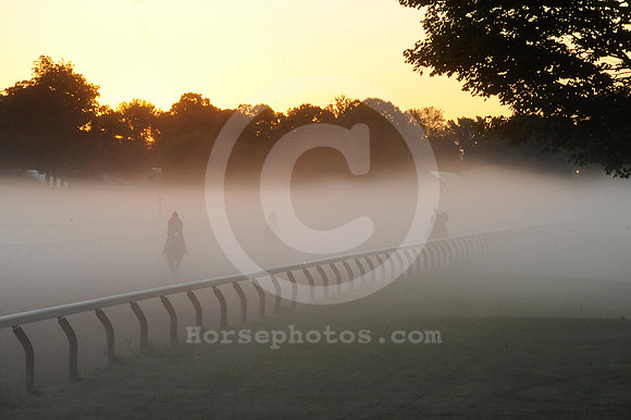 saratoga morning