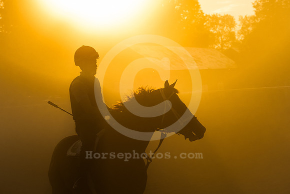 saratoga morning