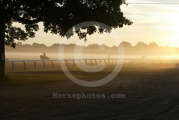saratoga morning