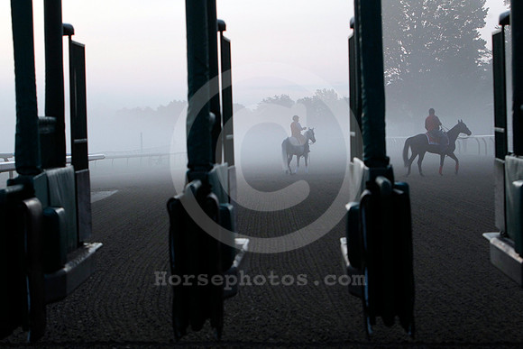 saratoga_morning250