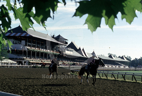 saratoga morning