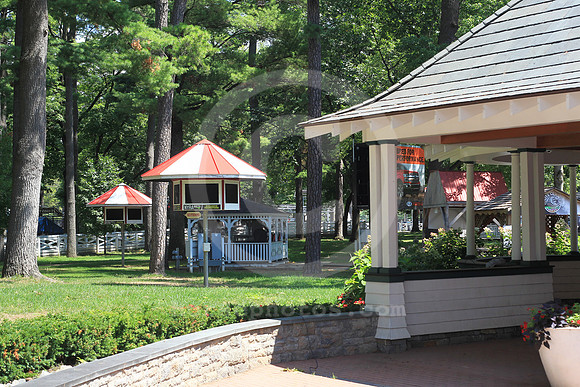 saratoga_backyard01