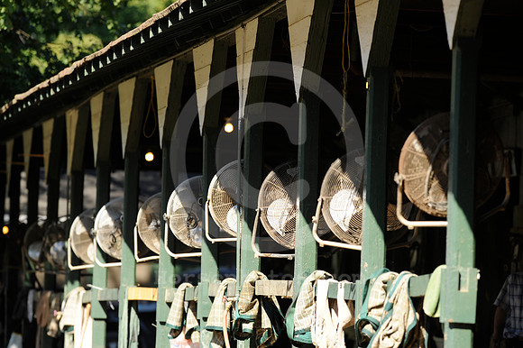 saratoga morning