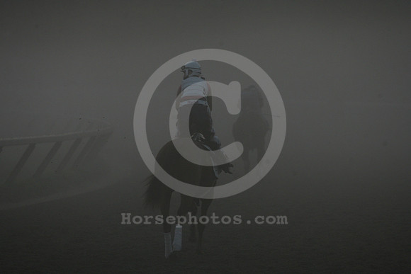 saratoga morning