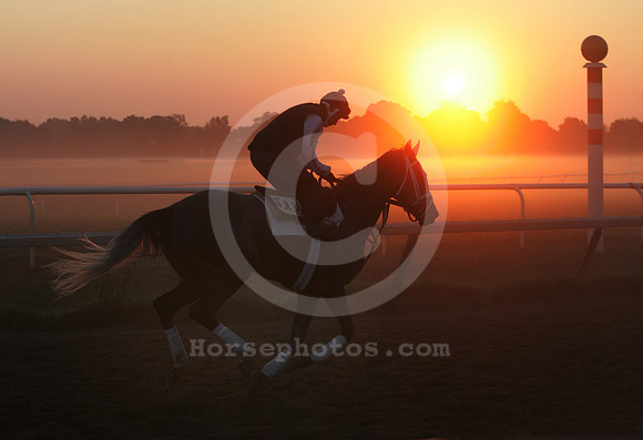 saratoga morning