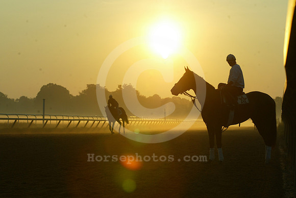 saratoga morning