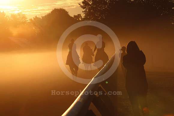 saratoga morning