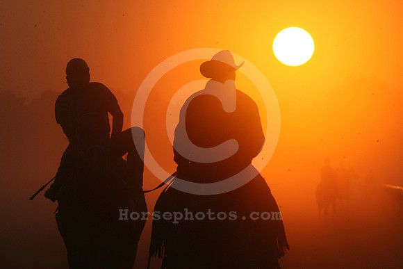saratoga morning