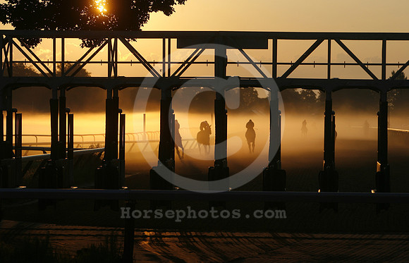 saratoga morning