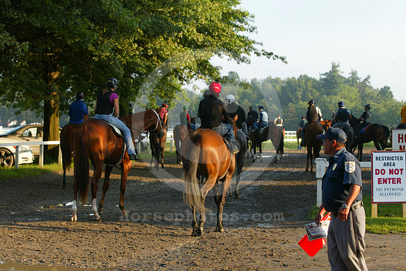 saratoga morning