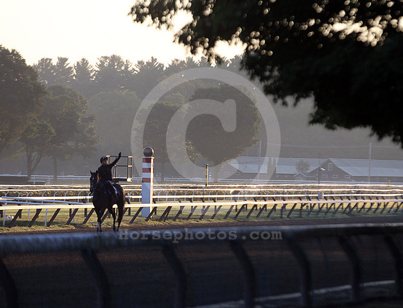 saratoga morning