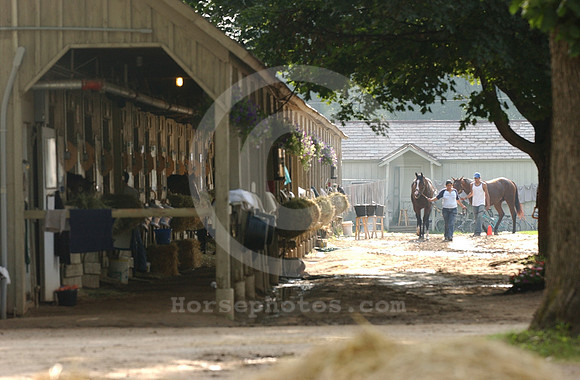 saratoga morning