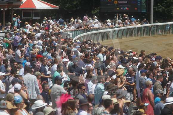 saratoga_grandstand_crowd105