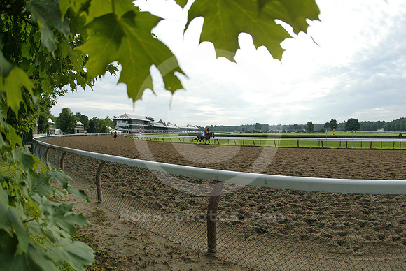 saratoga morning