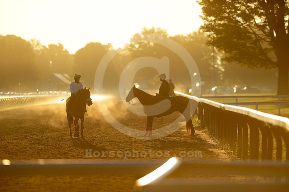 saratoga morning
